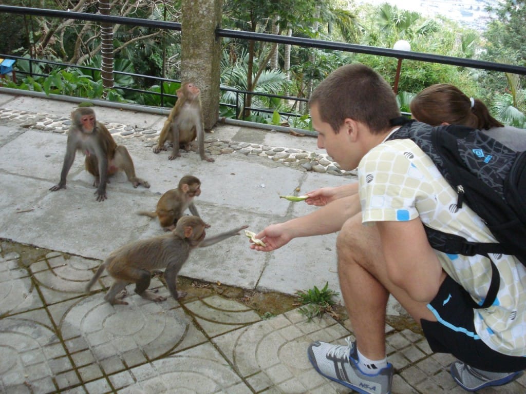 Хайнань, Санья, обезьяны